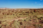 Des dizaines de trons pétrifiés jonchent la plaine de Petrified Forest National Park, Arizona