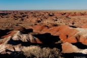 Paysage de Painted Desert à Tawa Point, Petrified Forest