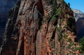 Falaise d'Angels Landing vue de Scout Lookout dans Zion National Park.