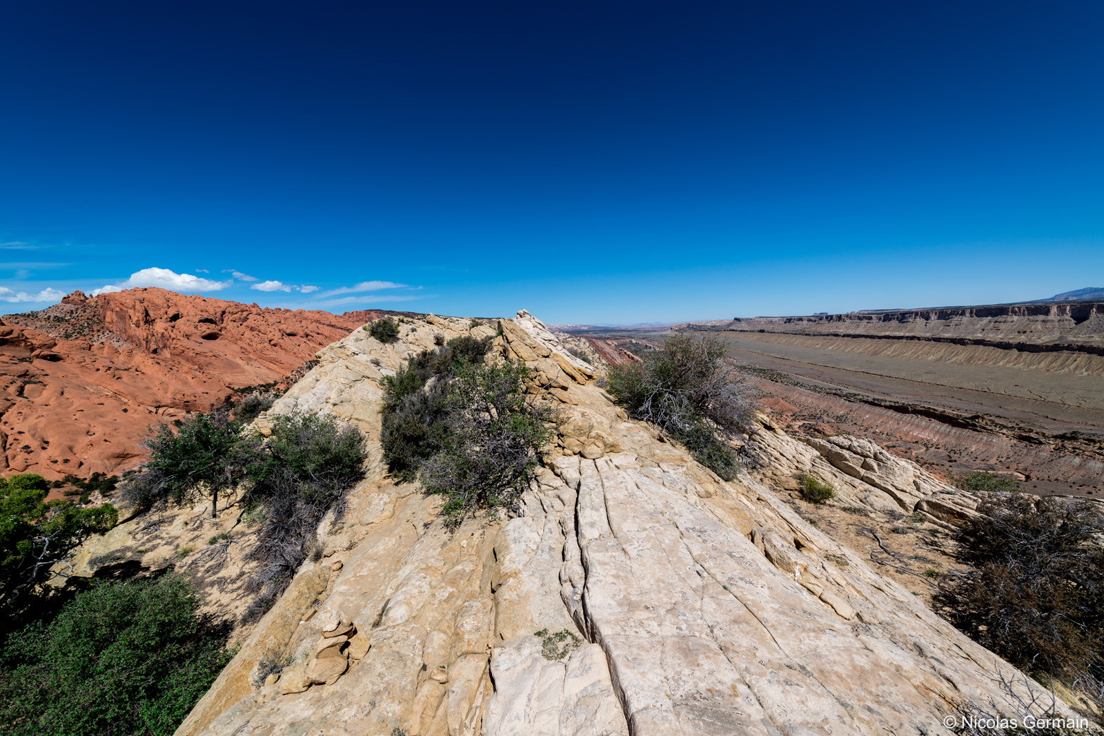 Dans Upper Muley Twist Canyon, le waterpocket fold de Capitol reef à droite et un paysage de grès rouge à gauche, vus du chemin de crête
