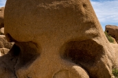 Skull rock, rocher en forme de crâne dans Joshua Tree National Park