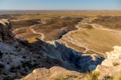 Vue sur la steppe de Petrified Forest du haut des badlands de Blue Mesa