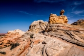 L'érosion a donné des formes étrange à la roche de White Pocket, Arizona