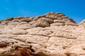 Brainrock (roche ressemblant à un cerveau) dans White Pocket, Arizona