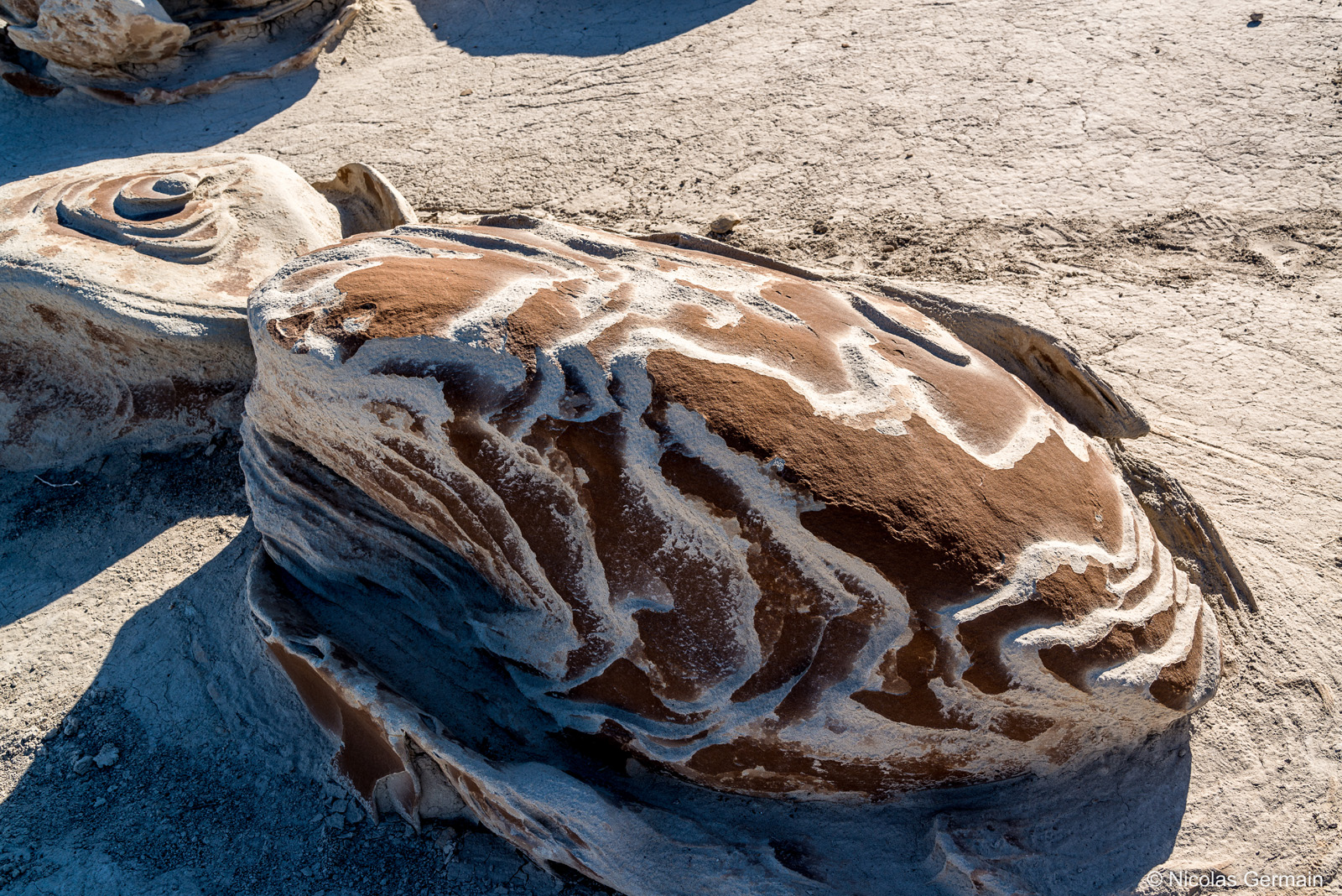 Rocher en forme d'oeuf ou de scarabée dans Bisti Badlands, Nouveau-Mexique