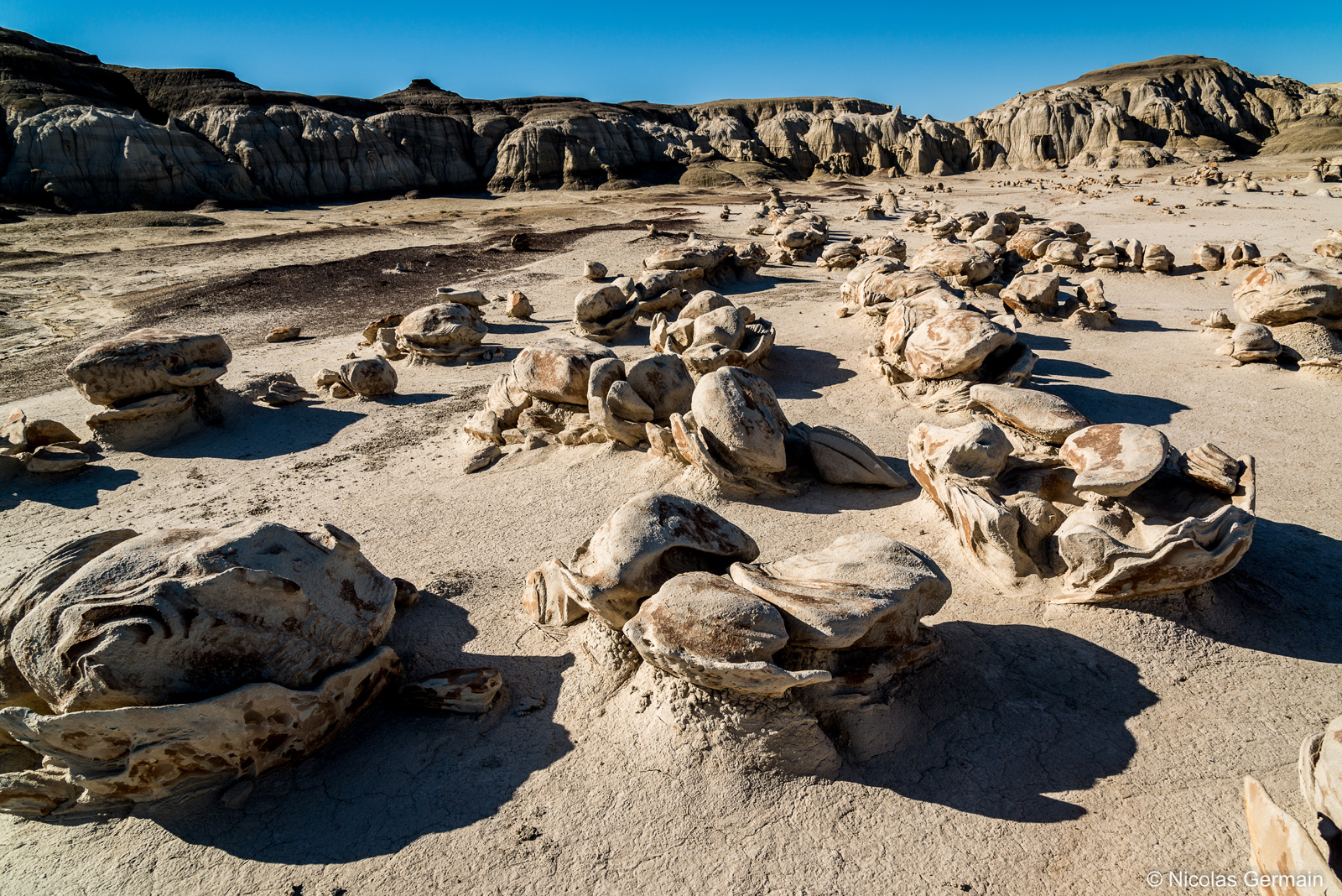 Nombreux rochers en forme d'oeufs cassés dans Bisti Wilderness, Nouveau-Mexique