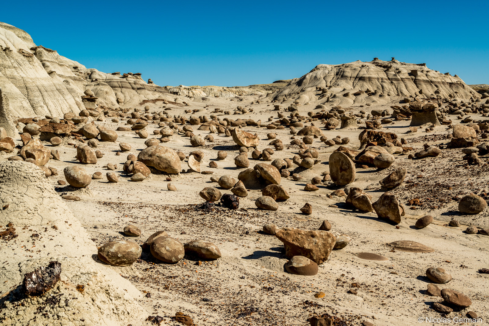 Un jardin de centaines de pierres arrondies forment comme un tapis dans Bisti Badlands, Nouveau-Mexique