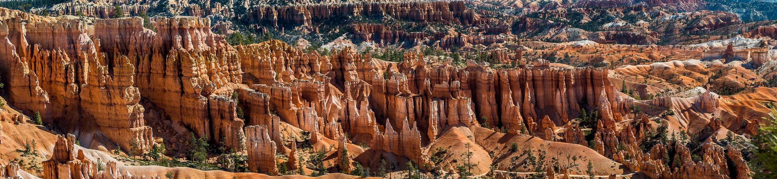 Paysage de Bryce Canyon