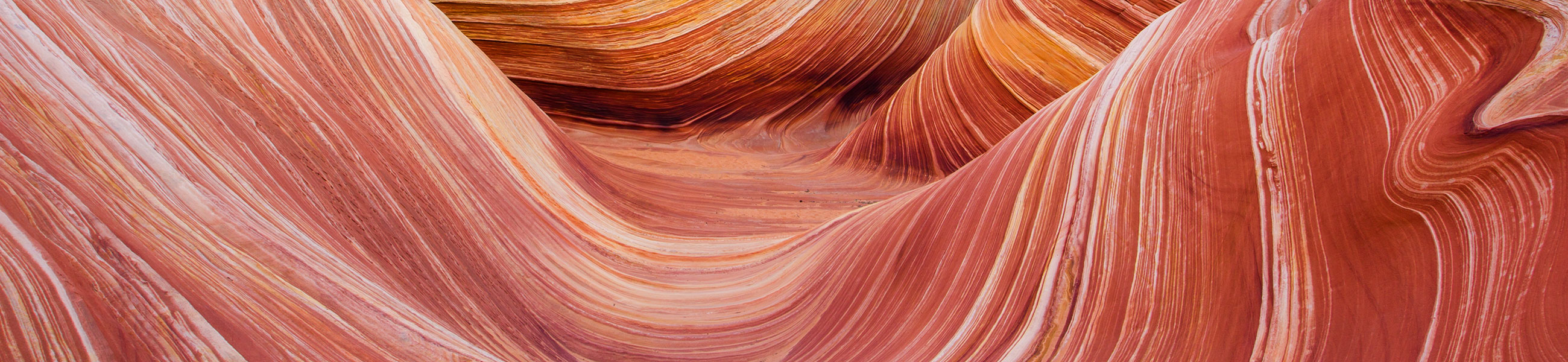 The Wave dans North Coyote Buttes