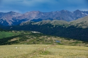 Montagnes et forêts de Rocky Mountain National Park, Colorado