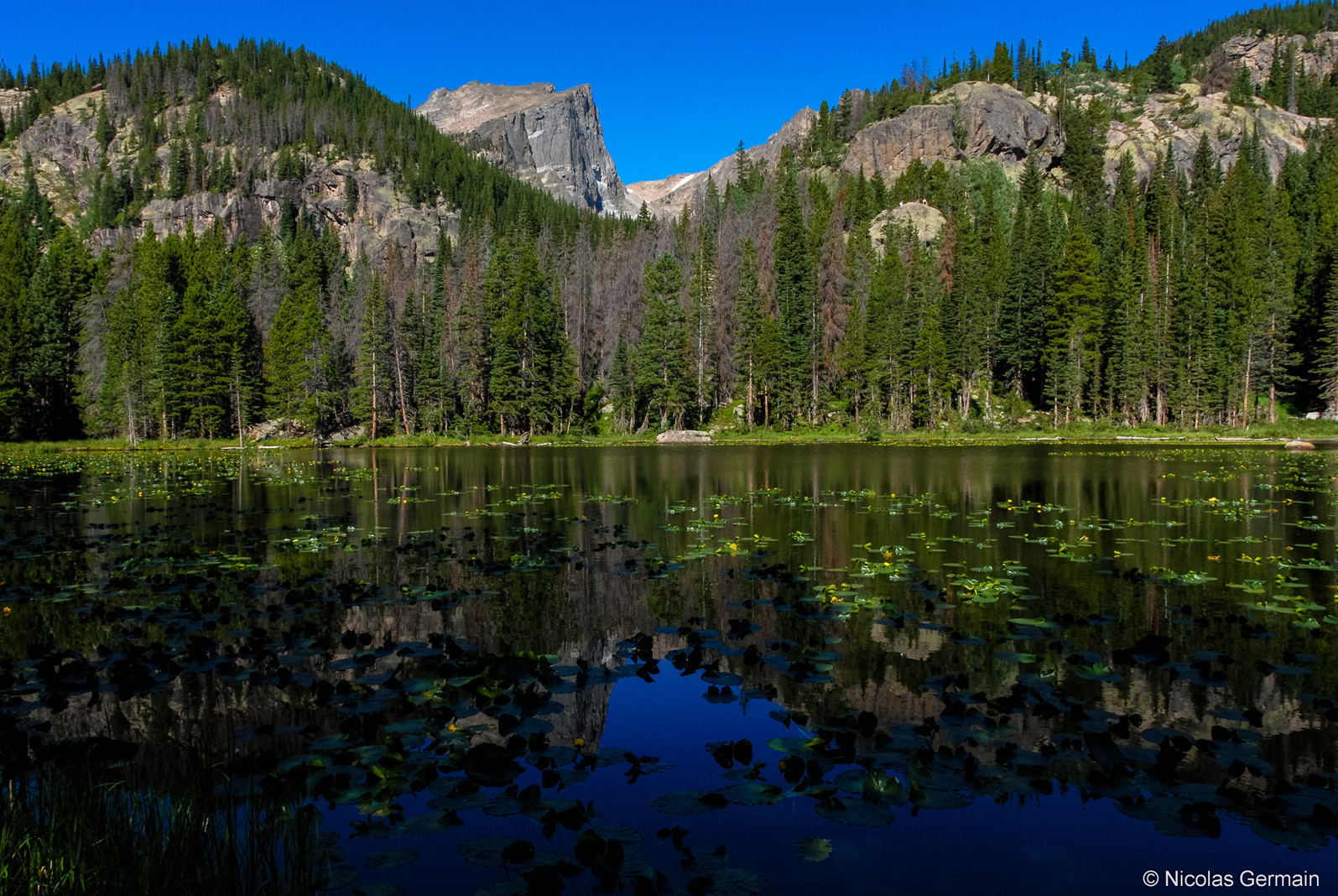 rocky-mountain-nymph-lake