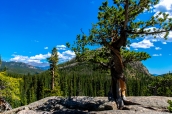 Paysage de Rocky Mountain National Park, Colorado