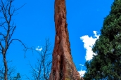 L'un des pics rocheux de Garden of the Gods à Colorado Springs