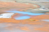 Couleurs bleu nacre et rouge pastel dans Norris Geyser Basin, Yellowstone National Park