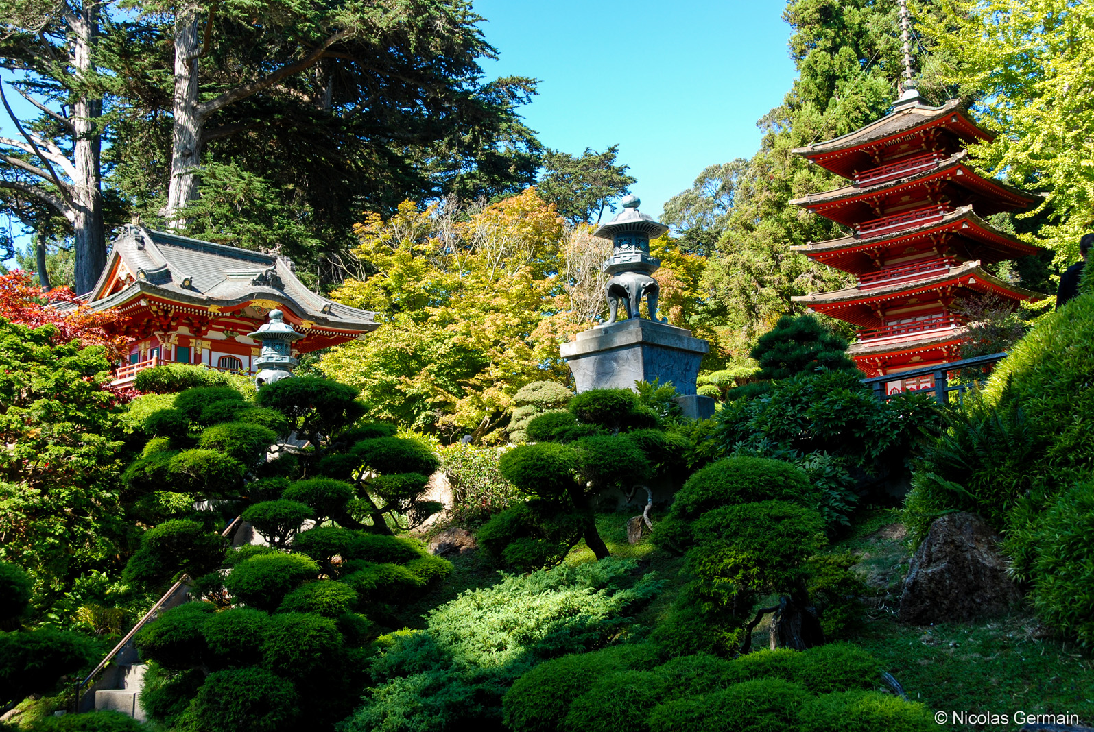 san-francisco-japanese-tea-garden