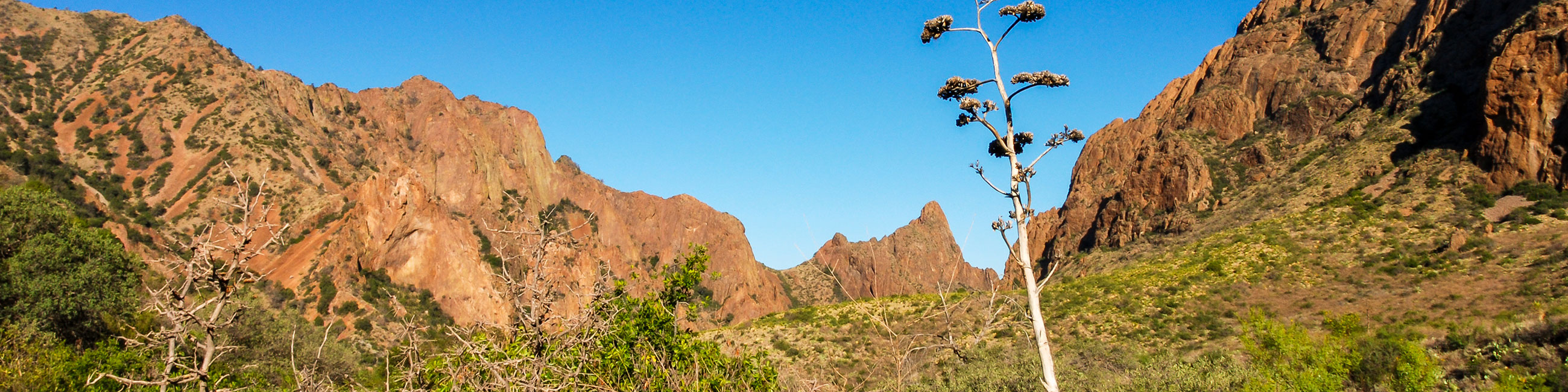 Big Bend Chisos Mountains