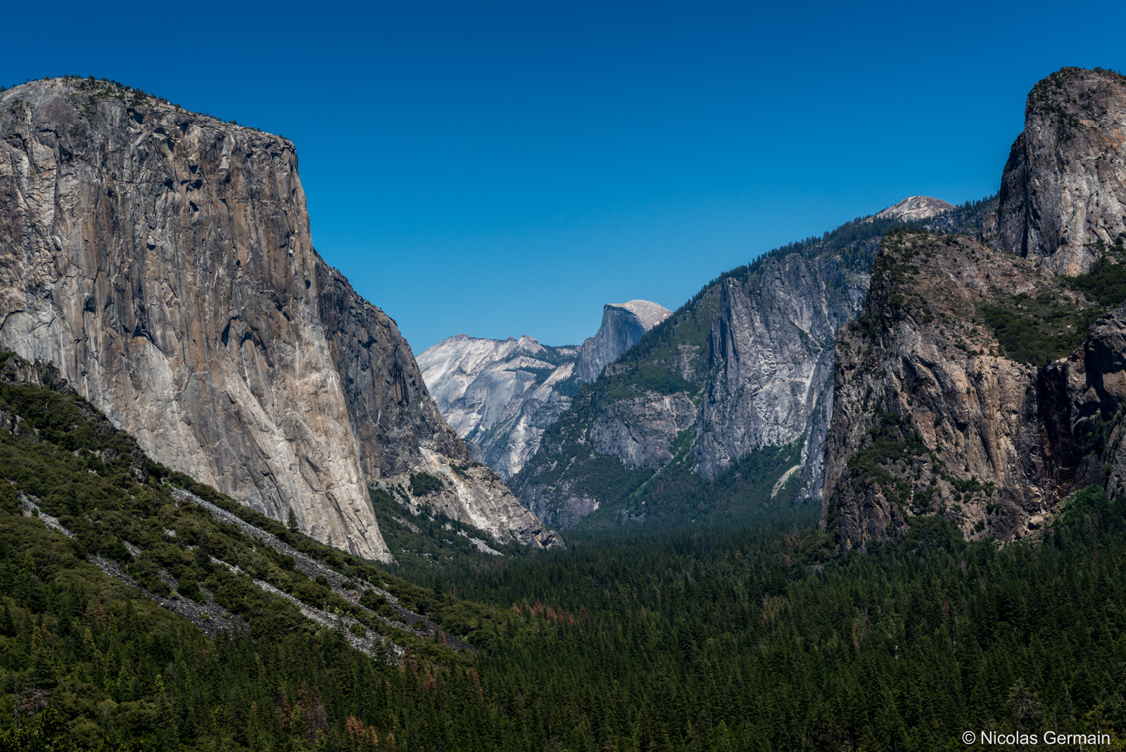 Forêt au pied des falaises de Yosemite National Park dont El Capitan