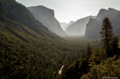 El Capitan et le Half Dome dans le fond dominent la vallée de Yosemite National Park au petit matin, Californie