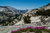 Paysage de Yosemite National Park et Half Dome dans le fond vus de Olmsted Point, Californie