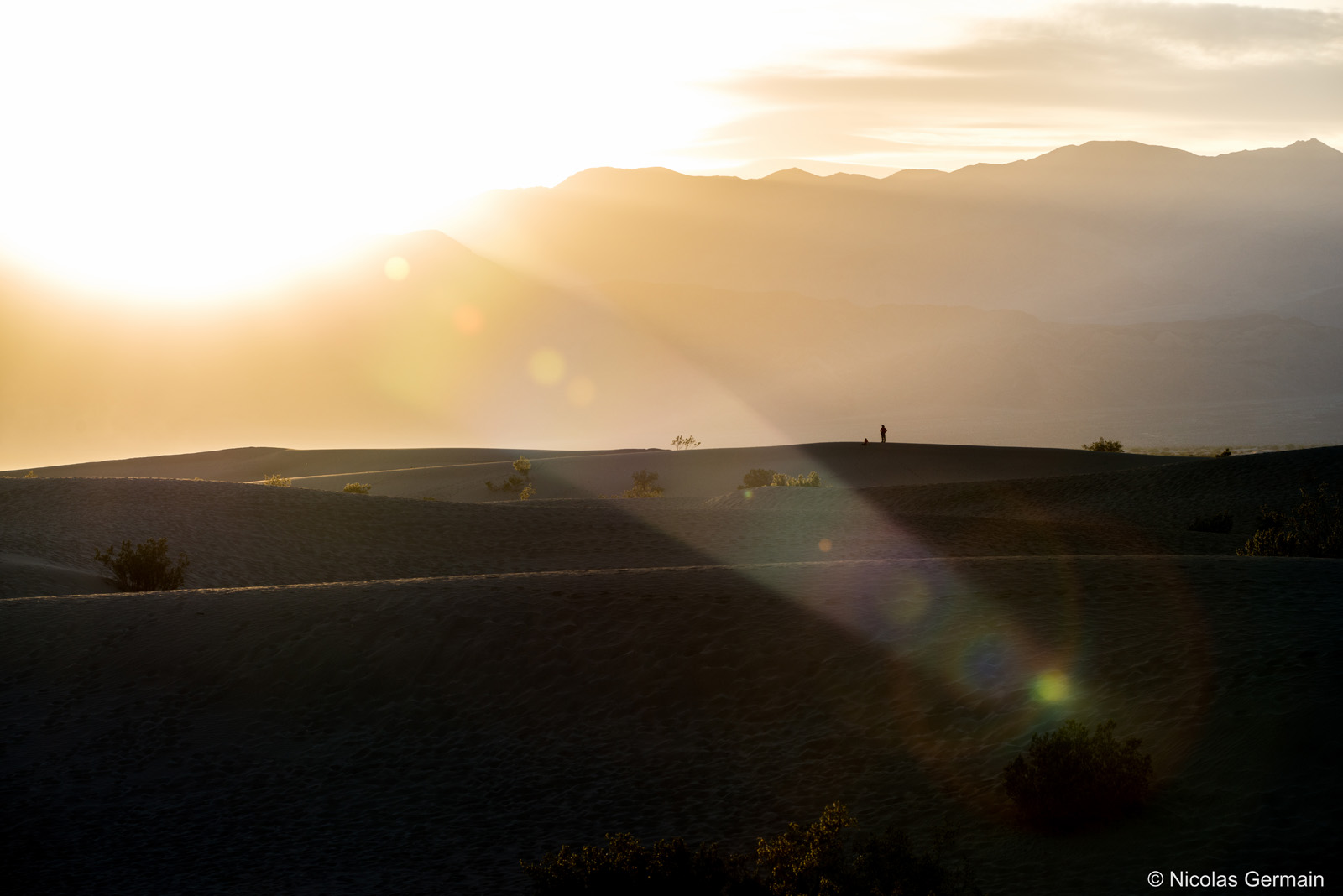 Un randonneur sur les dunes de Mesquite Flat au coucher du soleil, Vallée de la Mort