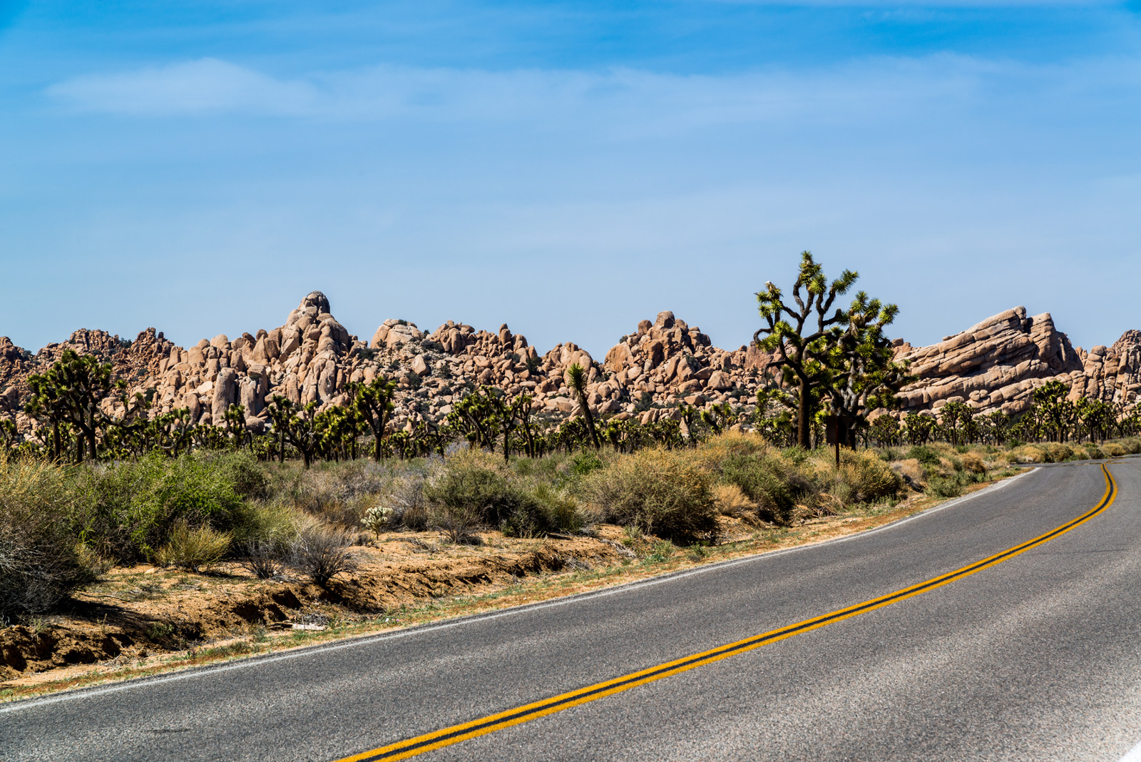 Paysage de Joshua Tree, Californie