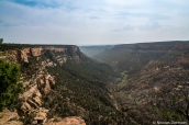 Vue sur Navajo Canyon le long de la route Mesa Top Loop, Mesa Verde