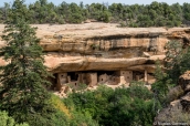 Spruce Tree House sous son alcôve rocheuse, Mesa Verde National Park