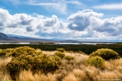 Paysage typique de Ruby Lake National Wildlife Refuge, Nevada