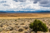 Plaine à perte de vue dans le sud de Ruby Lake National Wildlife Refuge, Nevada