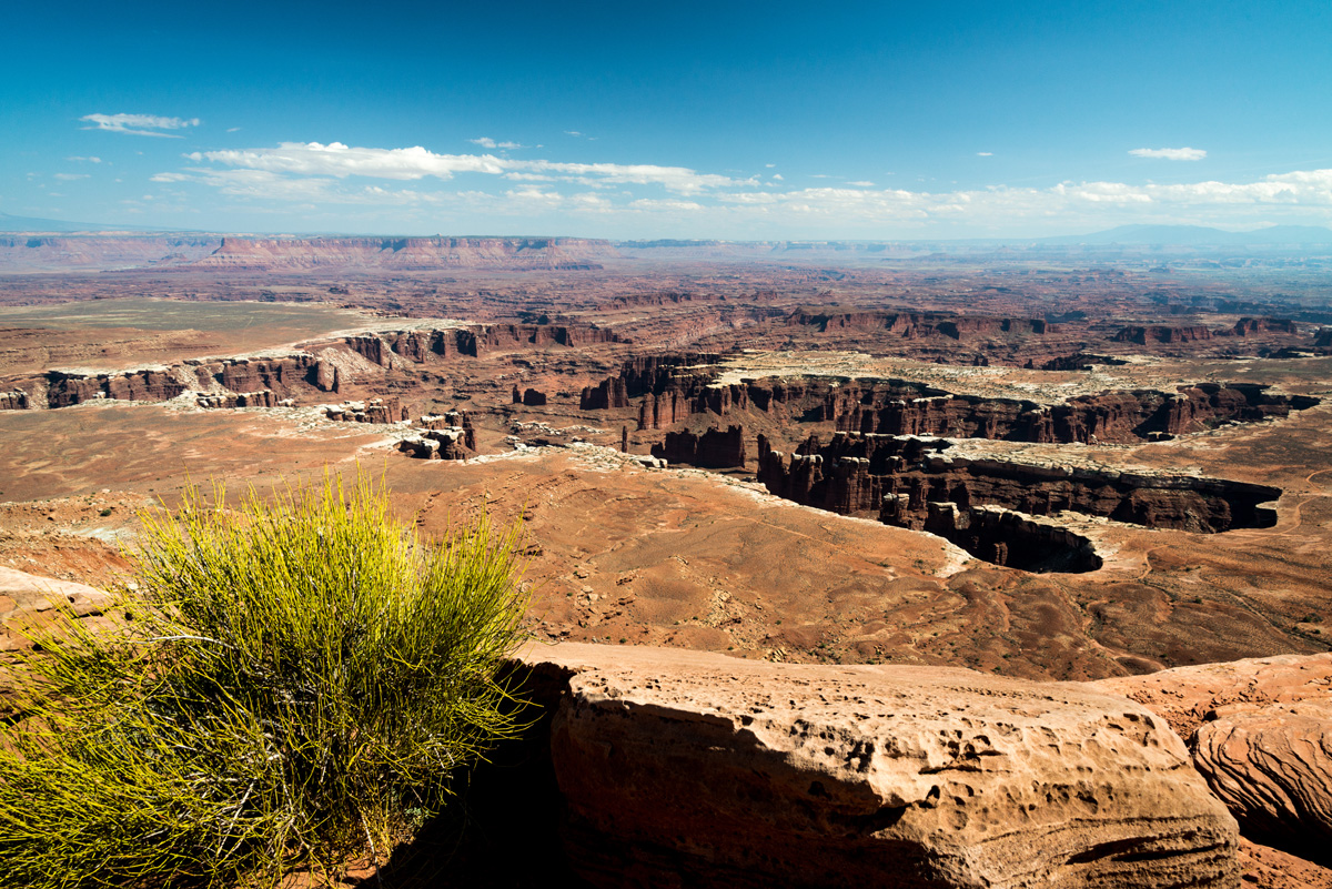 grand-view-point-overlook-canyonlands