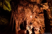 Stalactites de Lehman Caves, Great Basin National Park, Nevada