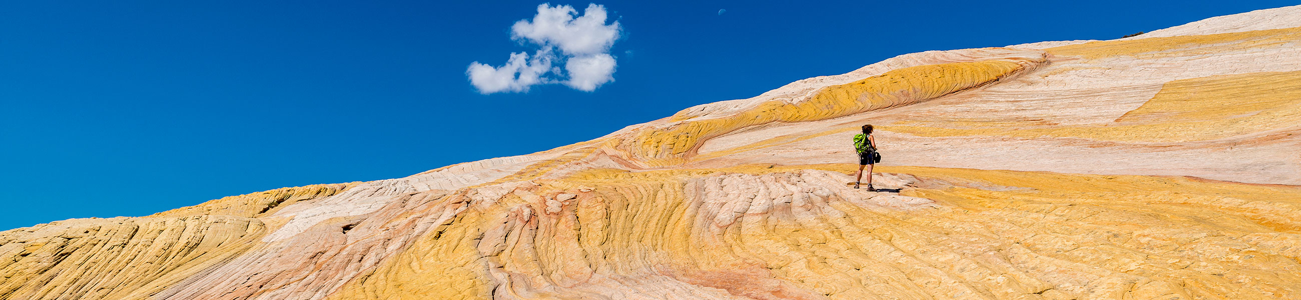 Yellow Rock dans Grand-Staircase Escalante