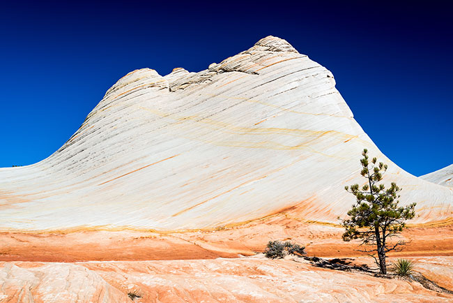 White Domes