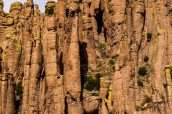 Colonnes de rhyolite vues de Upper Rhyolite Canyon Trail, Chiricahua