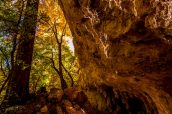 Petite cave au point The Grotto dans McKittrick Canyon, Guadalupe Mountains