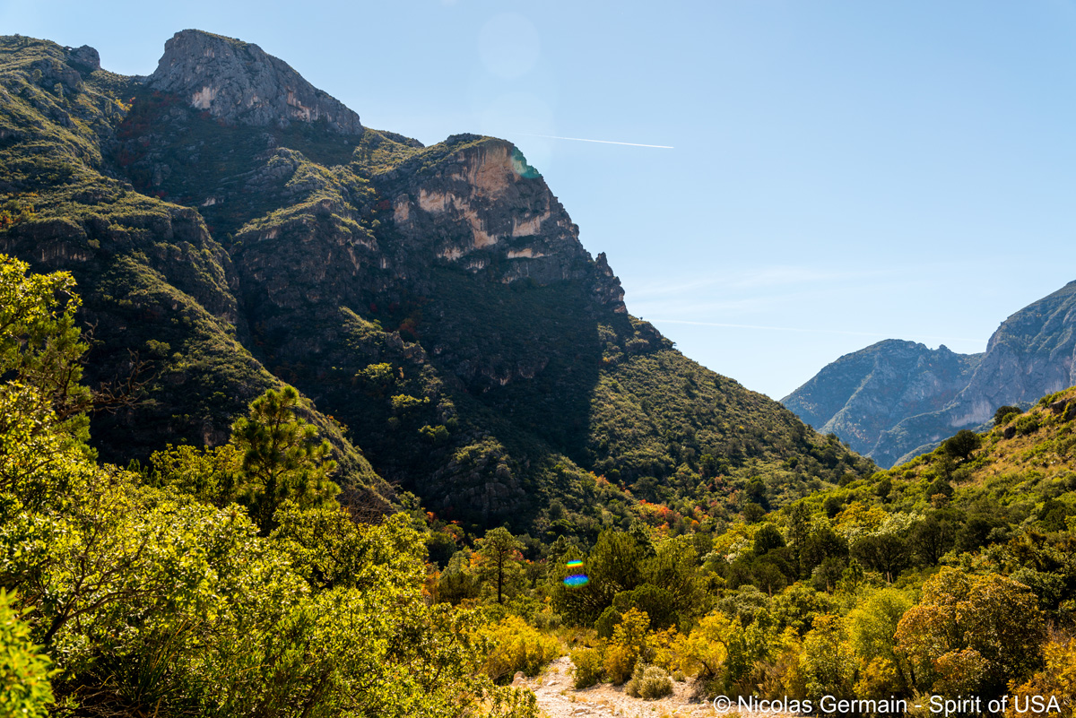 Montagnes et végétation luxuriante dans McKittrick Canyon, Guadalupe Mountains