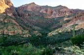 Estes Canyon et Ajo Mountains dans Organ Pipe Cactus