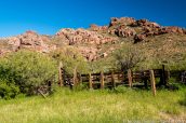 Ancien corral au bout d'Alamo canyon, Organ Pipe Cactus