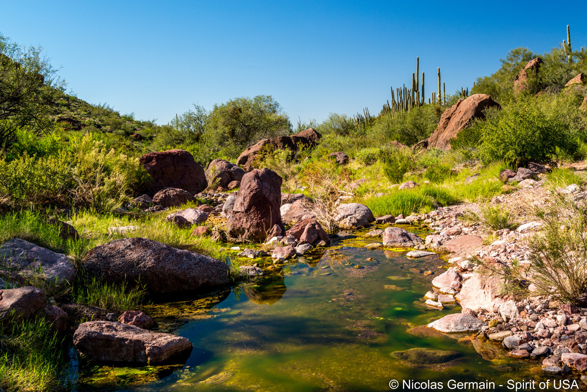 Petit ruisseau dans Alamo Wash à Alamo Canyon, Organ Pipe Cactus
