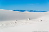 Petites formations de gypse au milieu des dunes de White Sands