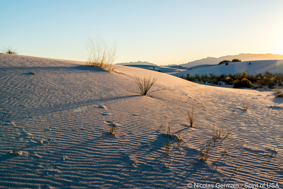 Coucher de soleil sur les dunes de Whites Sands National Monument