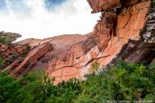 Falaises le long d'Emerald Pools Trail, Zion