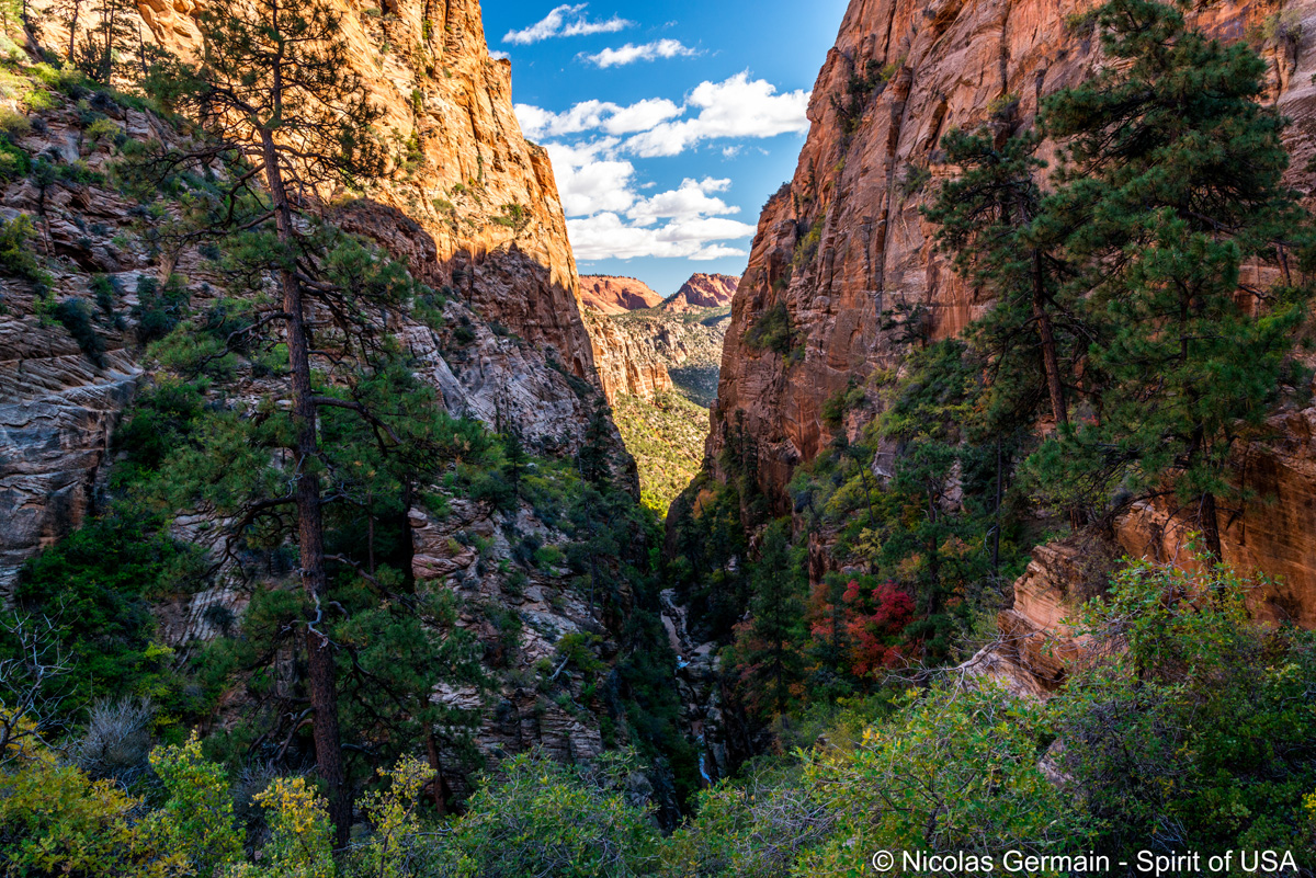 Falaises de Water Canyon et couleurs de début d'automne, en direction de Top Rock