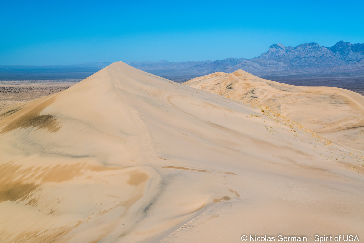 Kelso Dunes dans Mojave Trails National Preserve