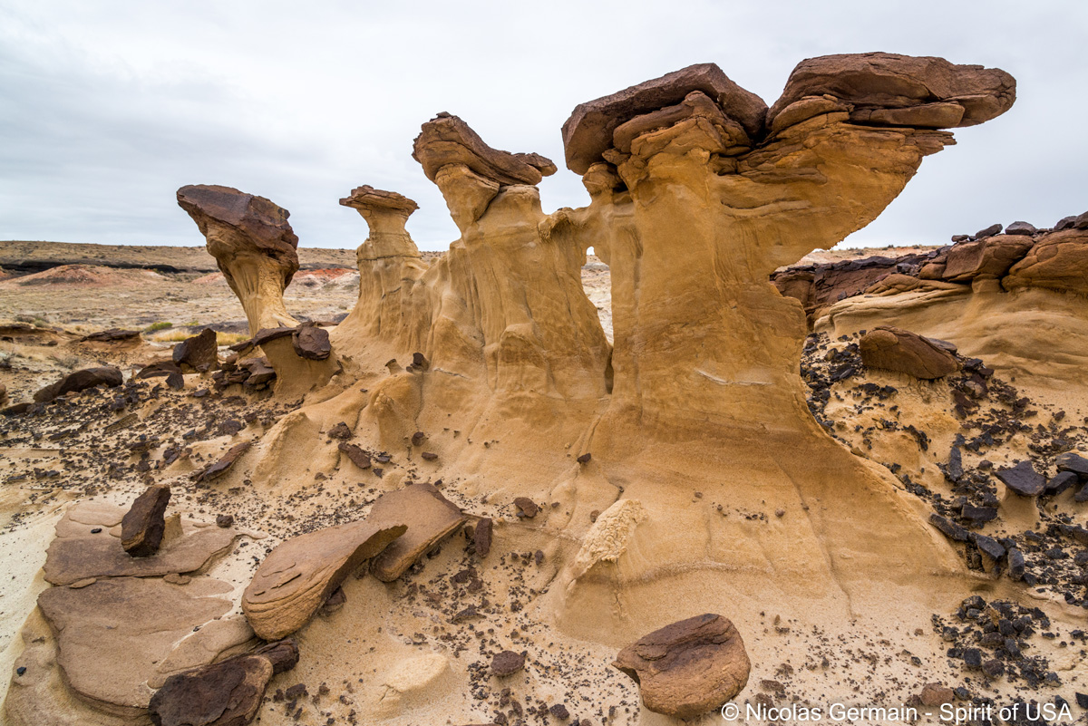 Formation rocheuse étonnante et ciselée dans Valley of Dreams, Nouveau-Mexique