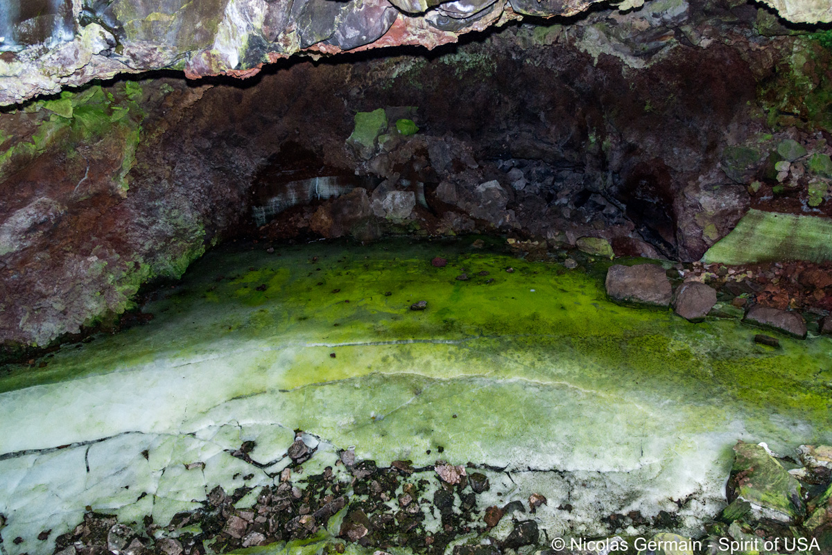 Des algues donnent cette couleur verte à Ice Cave, une grotte de glace permanente