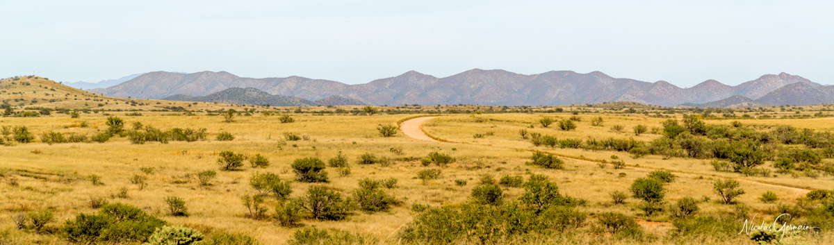 Paysage de plaines le long de la piste Pronghorn Drive, Buenos Aires National Wildlife Refuge