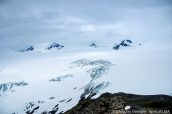 Panorama sur Exit Glacier et le champ de glace Harding Icefield en haut du sentier, Kenai Fjords, Alaska