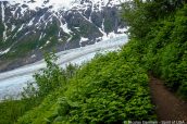 Sentier Harding Icefield Trail et Exit Glacier, Kenai Fjords