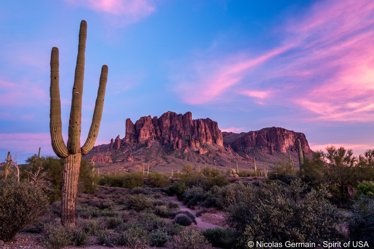 Saguaros et les Superstition Mountains dans Lost Dutchman au coucher du soleil